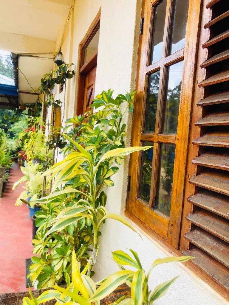 Vegetable Garden House Hotel Nallathanniya Bagian luar foto