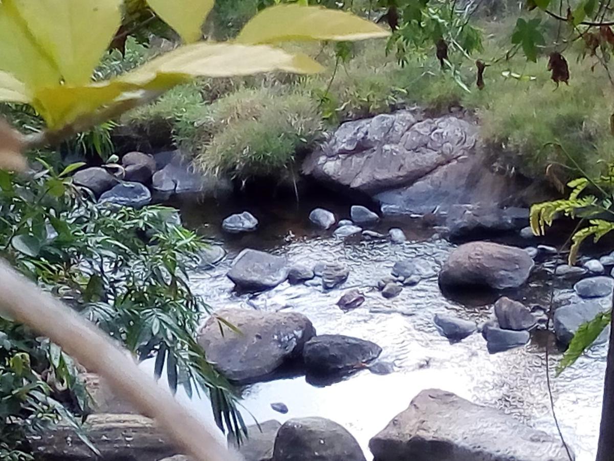 Vegetable Garden House Hotel Nallathanniya Bagian luar foto